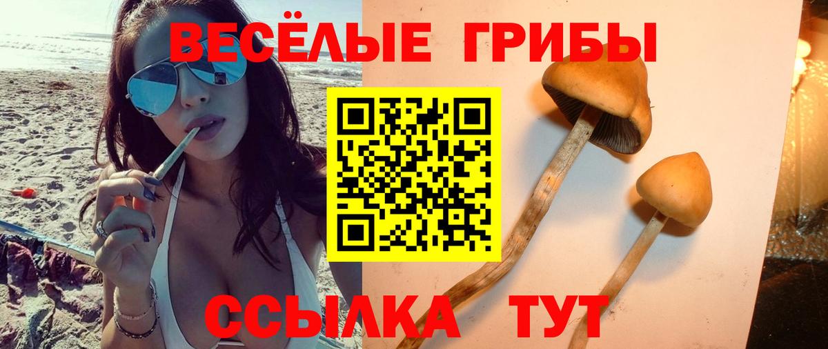 Великий Новгород  Псилоцибиновые грибы Magic Shrooms  Псилоцибиновые грибы Magic Shrooms  Вход с VPN 